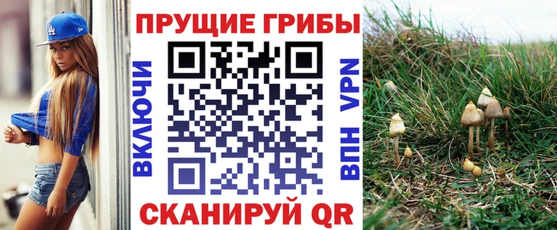 Галлюциногенные грибы прущие грибы Балей